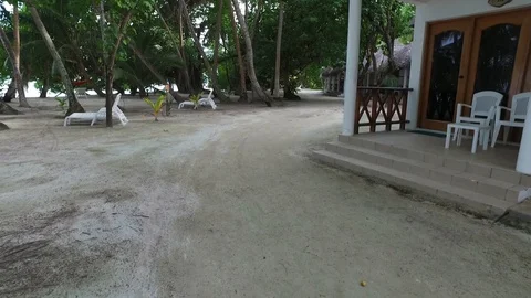 Video of camera moving along white sand path. Green plants, palm trees and Stock Footage 129409617