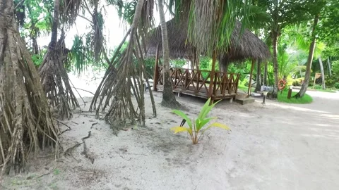 Video of camera moving along white sand path. Green plants, palm trees and Stock-Footage 133147028