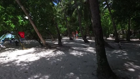 Video of camera moving along white sand path. Green plants, palm trees and Stock Footage 134282304