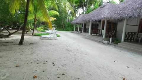 Video of camera moving along white sand path. Green plants, palm trees and Stock Footage 134326679
