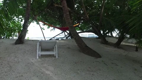 Video of camera moving along white sand path. Green plants, palm trees and Video stock 134403313