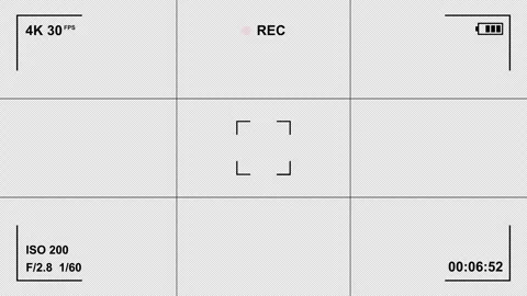 Video Camera Recording Screen Overlay with Rule of Thirds Grid and Alpha Ch.. Stock Footage 333622945