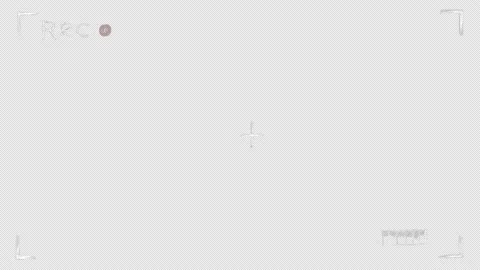 Video camera screen in 4K quality Stock Footage 148246219