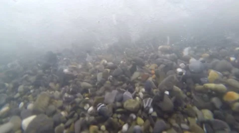 The video camera surfing under water Video stock 68618885