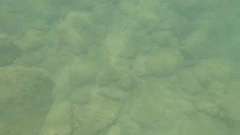 Video camera under and above the water of the Black Sea Stock Footage 137443300