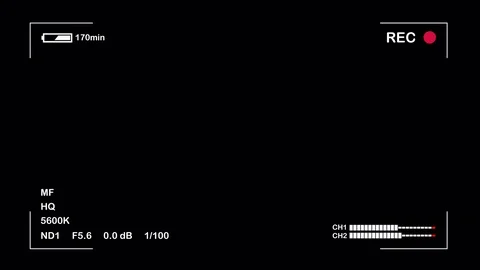 Video Camera Viewfinder Display with alpha channel in loop mode V2 Video stock 85423155