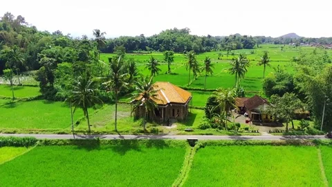 Video capture backwards or Pull Back Shot Drone Stock Footage 237198563