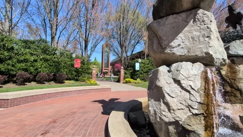 Video capturing students walking through a scenic university campus Stock Footage 336352166