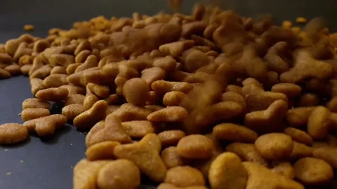 Video of cat food pellets falling from top to bottom in a room with a black back Stock Footage 324042470