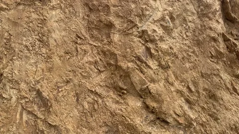 Video of clay soil. Concept of nature. Stock Footage 256046667