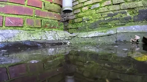 Video cleaning a deck putting excess water into a drain. Vidéo 332800918