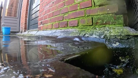 Video cleaning the deck, scrubbing water into a drain. Vidéo 332802220