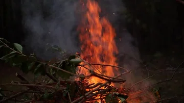 Video clip of branches being thrown on fire Stock Footage 86044314