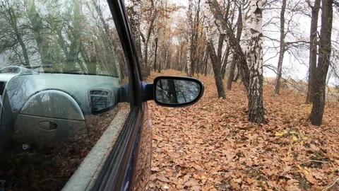 Video clip of a car driving through the countryside. Stock Footage 143218834