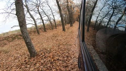 Video clip of a car driving through the countryside. Stock Footage 145121902