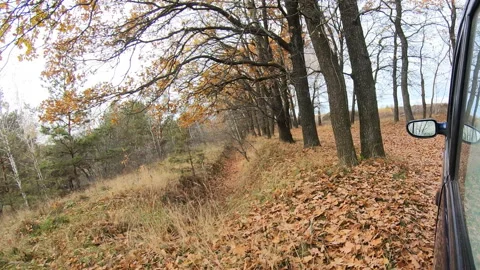 Video clip of a car driving through the countryside. Stock Footage 151562900