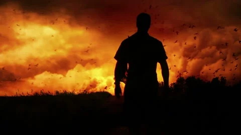 Video clip composition shows a beautiful evening sky with flying crows and a Stock Footage 160609432