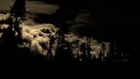 Video clip composition shows a landscape with trees and a dramatic lightning Stock Footage 160609841
