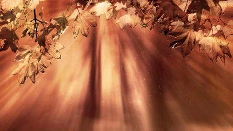 Video clip features a abstract background in fall season colors Stock-Footage 160601493