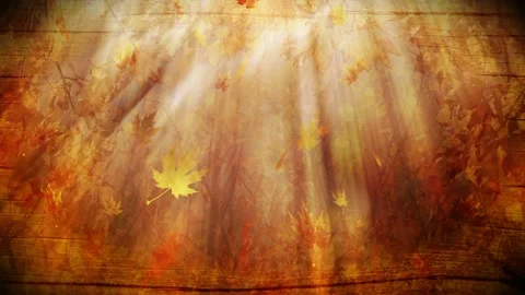 Video clip features a abstract background in fall season colors Stock Footage
