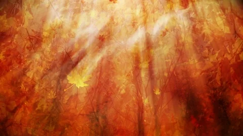 Video clip features a abstract background in fall season colors Stock Footage 160610035