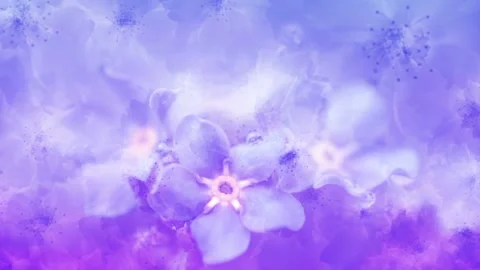 Video clip features a close up shot of forget me not flowers in purple and blue Stock Footage 160669853