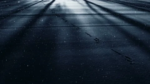 Video clip features a dark winter background with falling snow Stock Footage 160666586