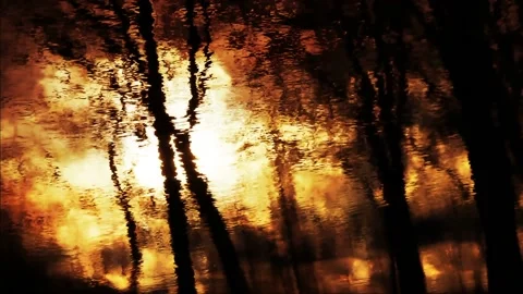 Video clip features a evening sky and trees mirrored on a water surface Stock Footage 160668176