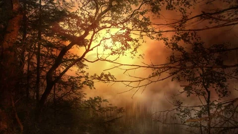 Video clip features a forest scenery background and a glowing warm light Stock Footage 160601022