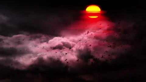 Video clip features a red and yellow sunset background scenery Stock Footage 160609346