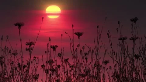 Video clip features a red and yellow sunset background scenery Stock Footage 160609651