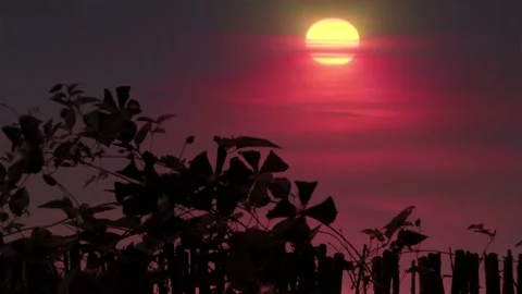Video clip features a red and yellow sunset background scenery Stock Footage 160609817