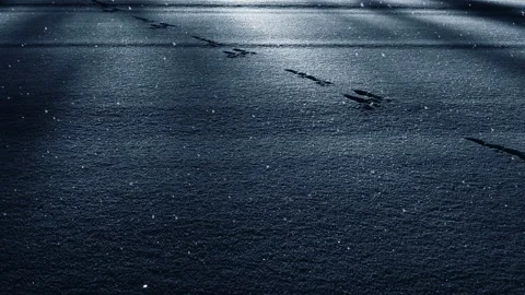 Video clip features a snow background with light and shadow and falling snow Stock Footage 160815710