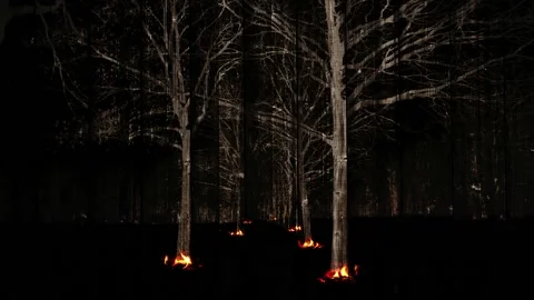 Video clip in hd features a dark wooden planks background Stock Footage 160610523