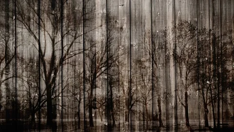 Video clip in hd features a dark wooden planks background Stock Footage 160610569