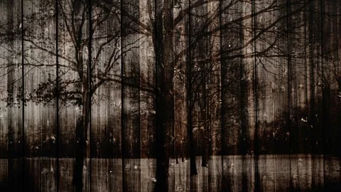 Video clip in hd features a dark wooden planks background Stock Footage 160610636