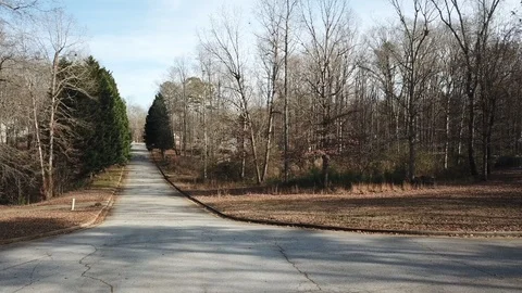 Video clip of an owl flying through trees Stockbeeldmateriaal 100620487