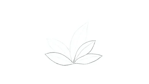 Video clip showing the process of drawing a heart with a plant. Stock Footage 301066983