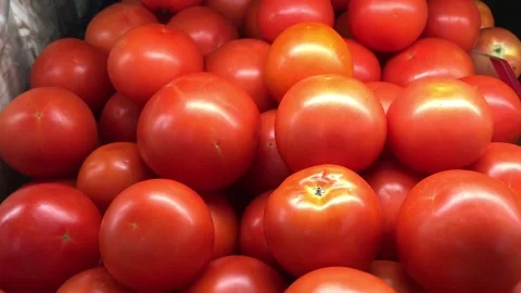 Video clip of the tomato in the sale version Stock Footage 150314963