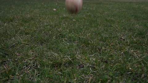 Video clip of a used leather baseball tossed on the grass Stock Footage 88507298