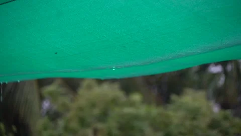 Video clip of water droplets dripping from green net in monsoon Video stock 272194553
