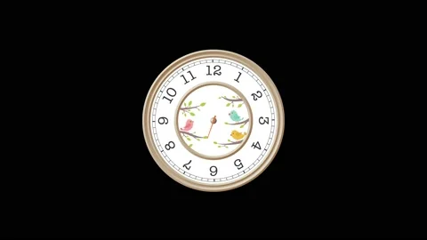 Video of a clock drawn with birds Stock-Footage 197479086