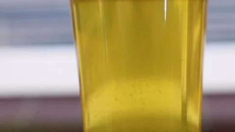 Video close up of fizzy bubbles in beer. Stock Footage 344035003