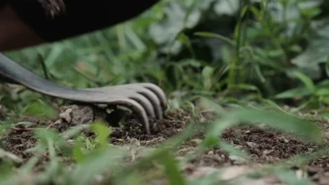 Video of closeup of boy hands pulling weeds from the garden Stock Footage 233820727