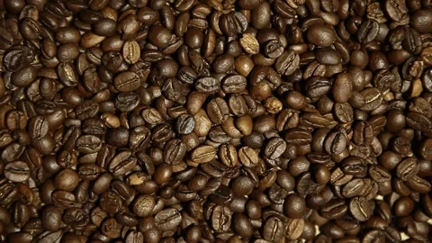 Video of coffee beans Stock Footage 242673353