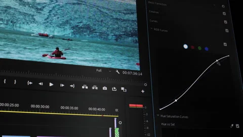Video color grading panel with RGB curves and playback controls Stock Footage 309098545