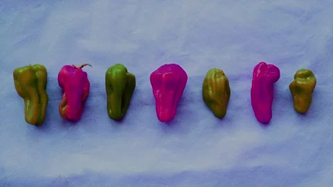 Video of colorful peppers placed on rustic fabric 스톡 동영상 132986180