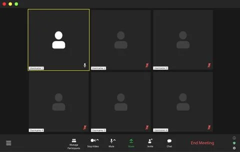 Video conference user interface, video conference calls window overlay Stock Illustration