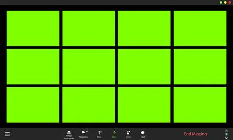 Video conference user interface. Video call window overlay Stock Illustration