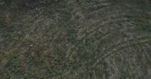 Video from a copter, nature of Crimea, fields, meadows, plants, summer Stock Footage 311525601